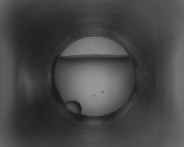 X0000100910258200806241057