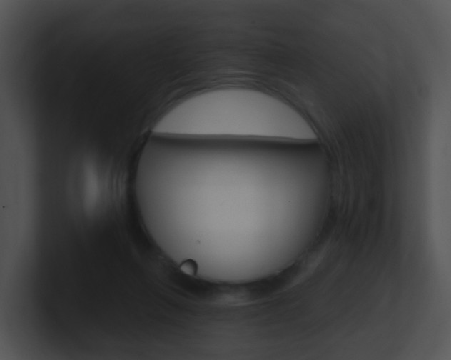 X0000100910263200806241057