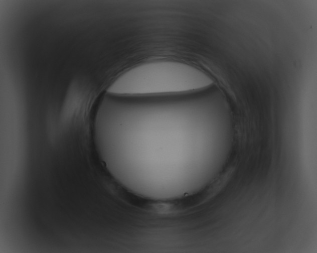 X0000100910265200806241057