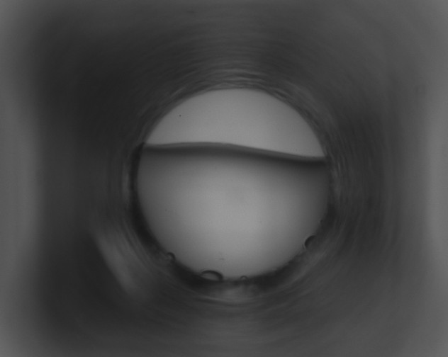 X0000100910267200806241057