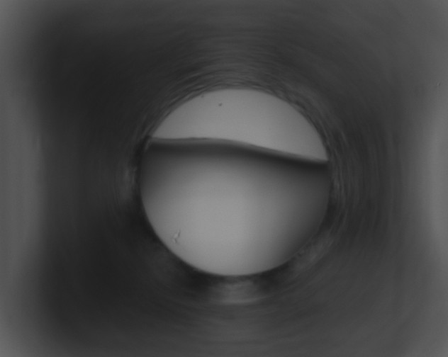 X0000100910278200806241057
