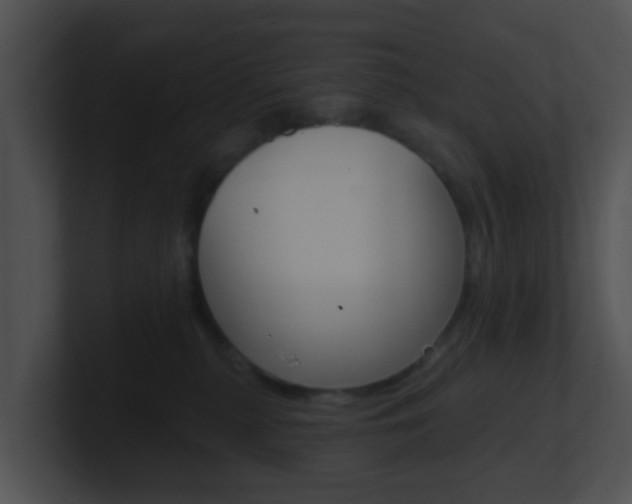 X0000100910279200806241057