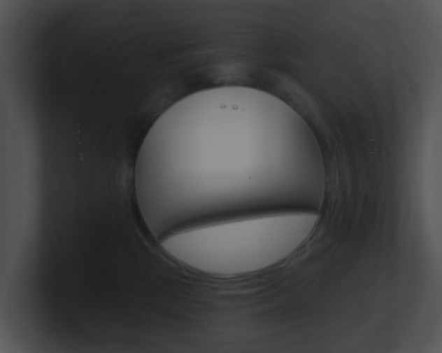 X0000100910281200806241057