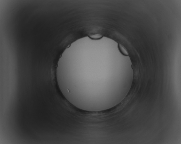 X0000100910282200806241057