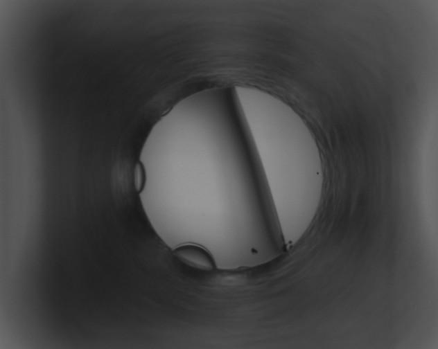 X0000100910283200806241057