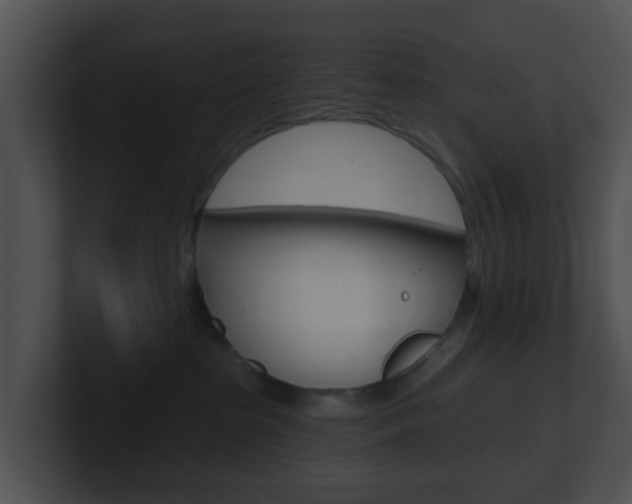 X0000100910285200806241057