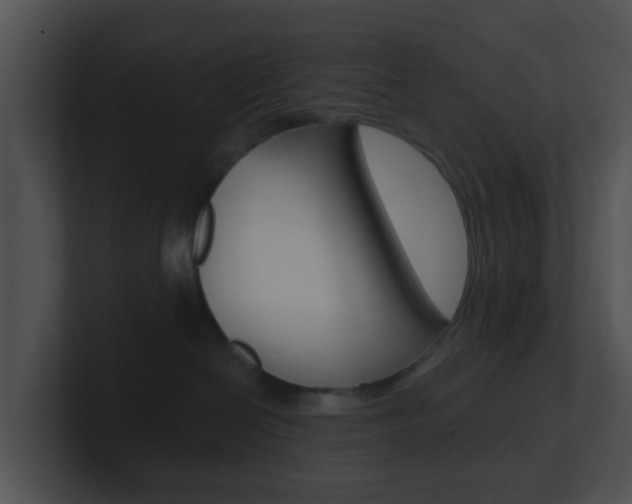 X0000100910286200806241057