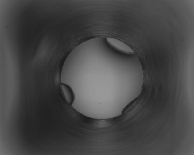 X0000100910287200806241057