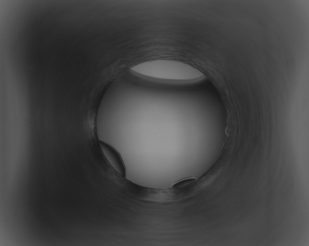 X0000100910288200806241057