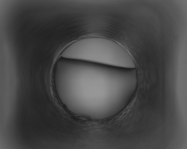 X0000100910289200806241056