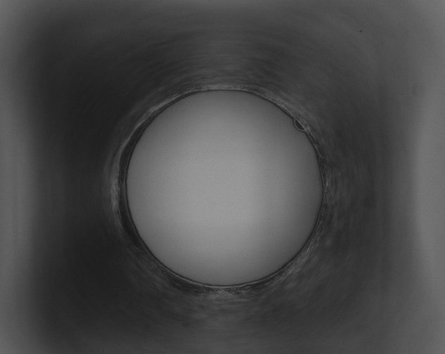 X0000100910290200806241056
