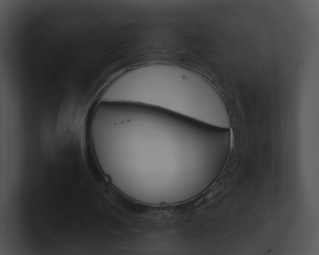 X0000100910291200806241056