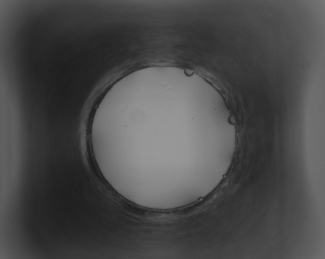 X0000100910293200806241056