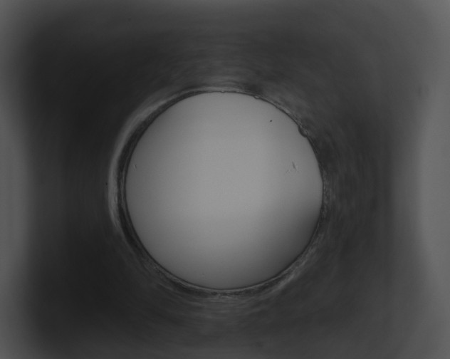 X0000100910294200806241056