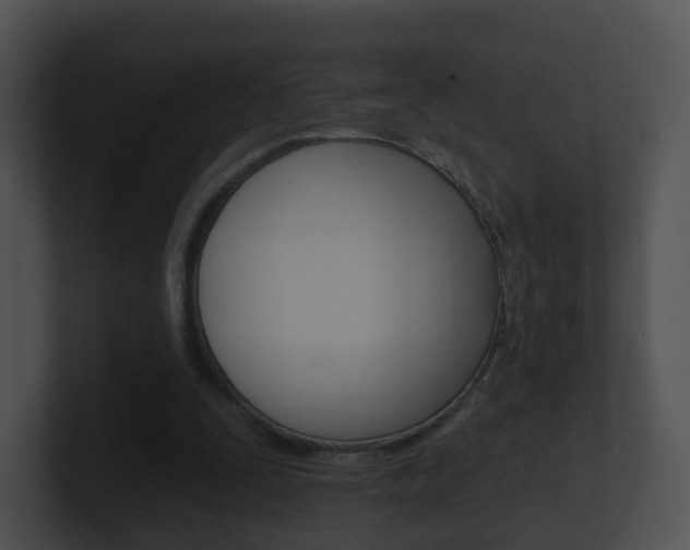 X0000100910295200806241056