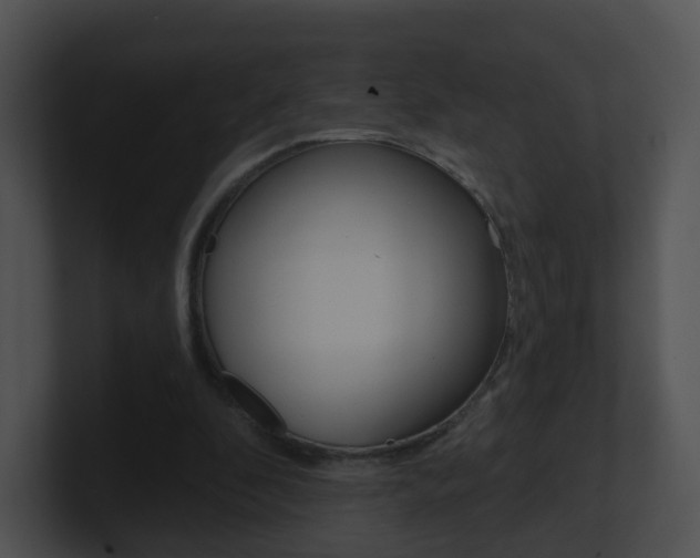 X0000100910296200806241056