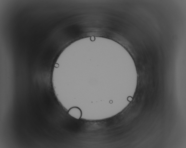 X0000100910297200806241056