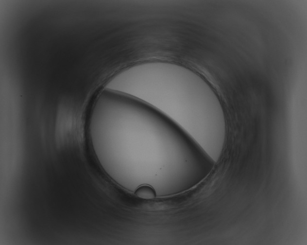X0000100910299200806241056