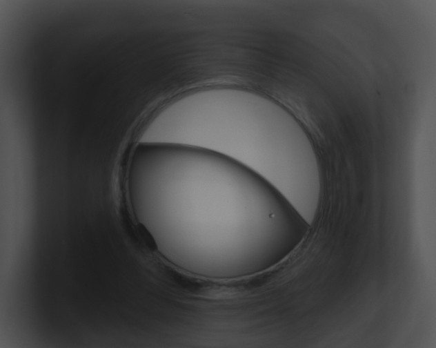 X0000100910300200806241056