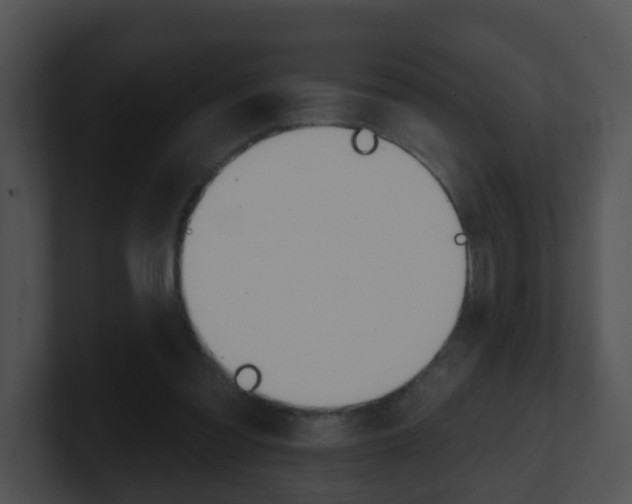 X0000100910301200806241056