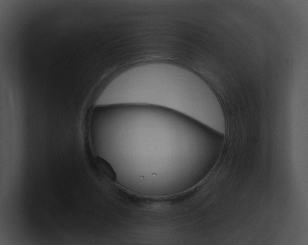 X0000100910304200806241056