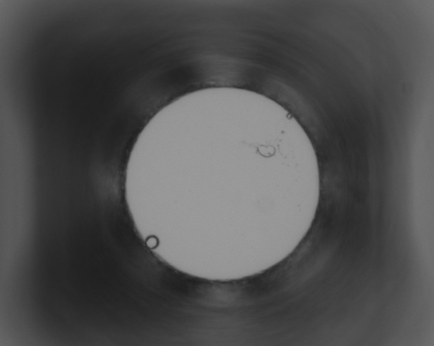 X0000100910305200806241056