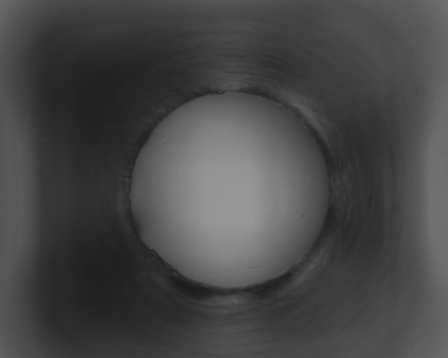X0000100910307200806241056