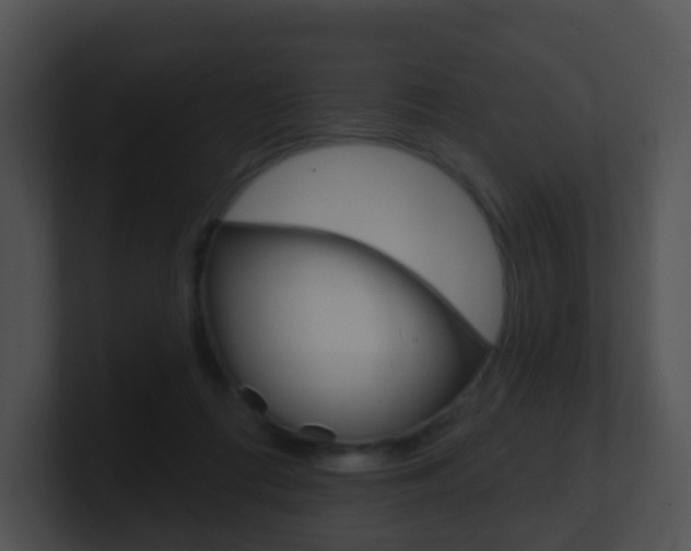 X0000100910312200806241056