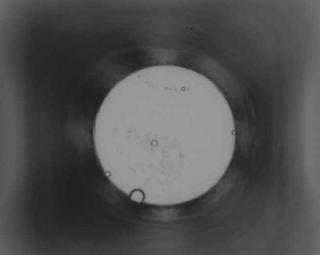 X0000100910313200806241056