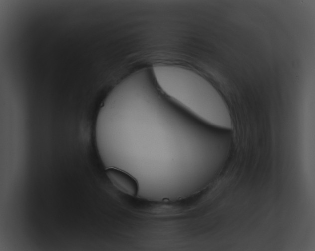 X0000100910315200806241056
