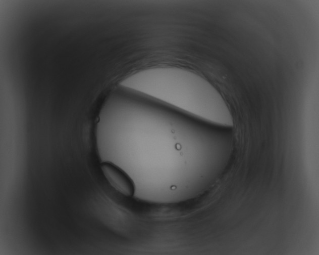 X0000100910319200806241056