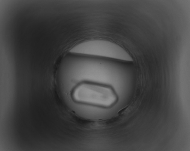X0000100910320200806241056