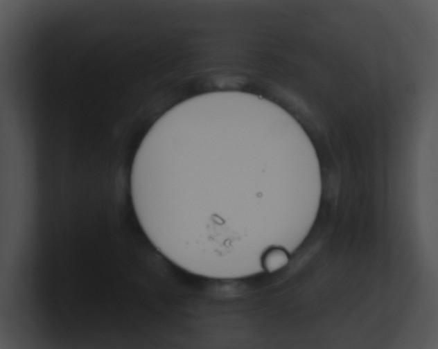 X0000100910321200806241056