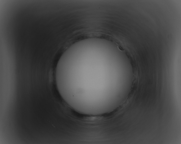 X0000100910323200806241056