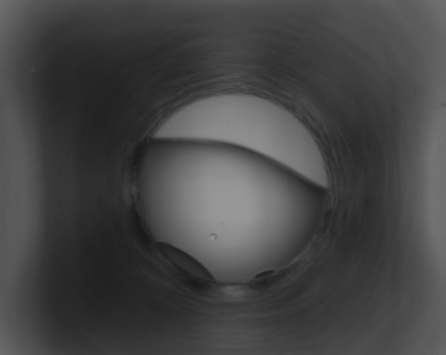 X0000100910324200806241056