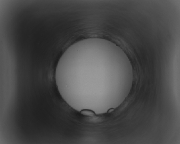 X0000100910326200806241056