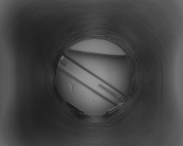X0000100910328200806241056