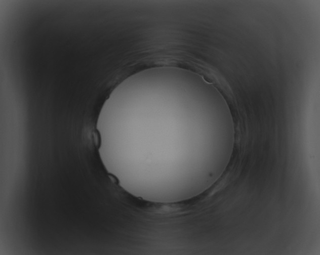 X0000100910329200806241056