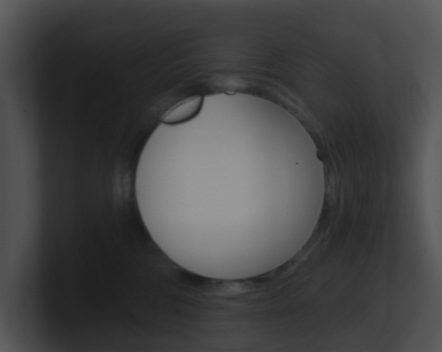X0000100910330200806241056