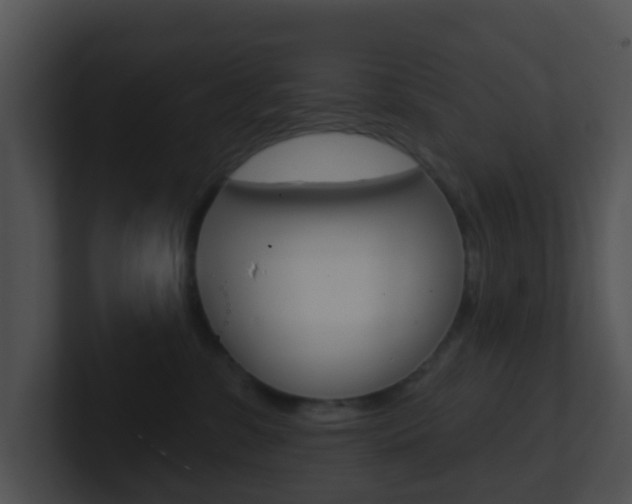 X0000100910331200806241056
