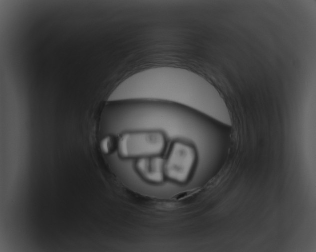 X0000100910332200806241056