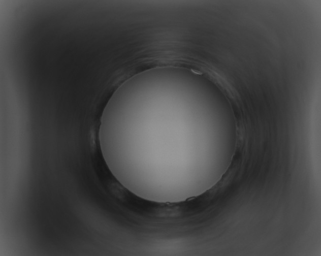 X0000100910333200806241056