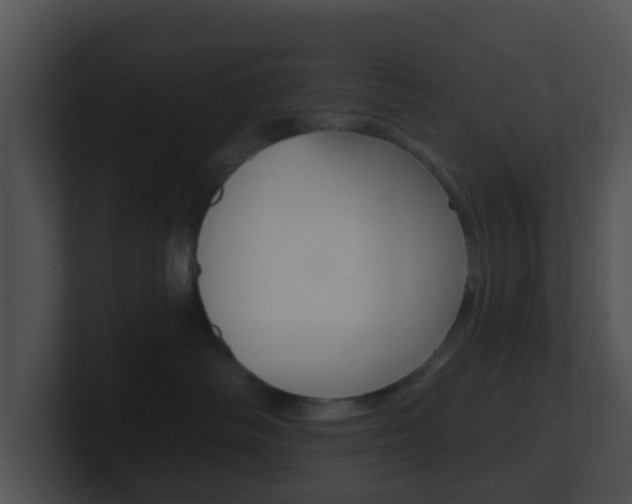 X0000100910334200806241056