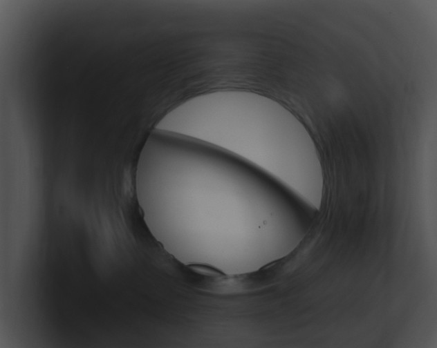 X0000100910335200806241056