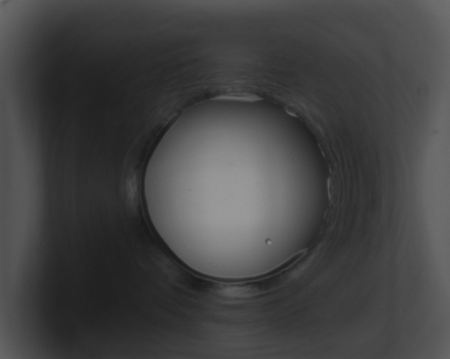 X0000100910336200806241056