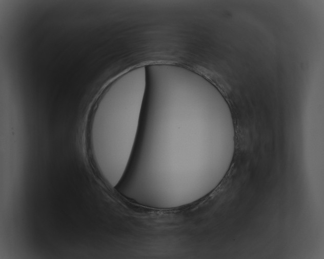 X0000100910338200806241055
