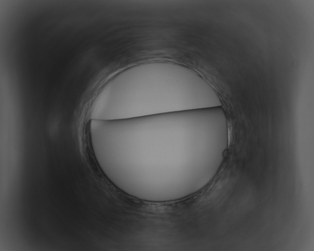 X0000100910339200806241055