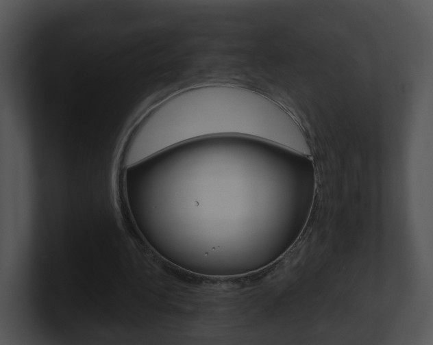 X0000100910340200806241055