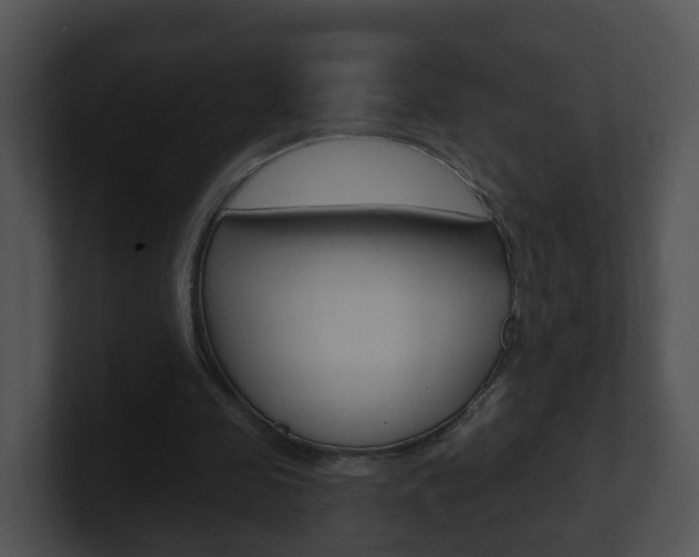 X0000100910341200806241055