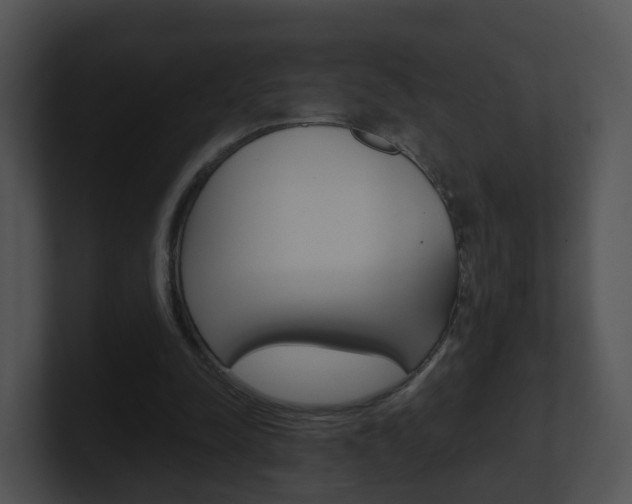 X0000100910342200806241055